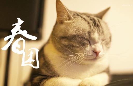 上班没精神?教你如何提神