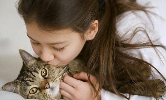 上班族的养生的禁忌 白领吃这4种水果能养生