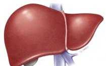 不良习惯会影响到老年人长寿 盘点八大长寿生活习惯