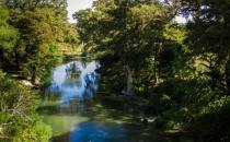 吃粗粮对老人身体的好处