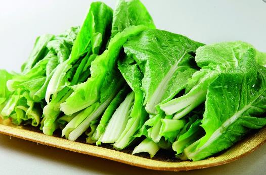 打打太极拳有益中老年人减肥