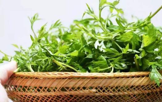 多喝水不如会喝水 老人养生喝好三杯水