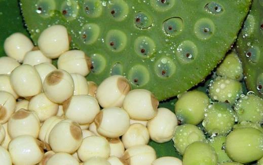 防止老年人腿抽筋 合适的鞋是弥补的方法之一