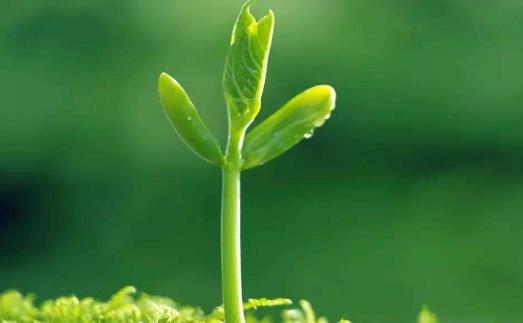 唾液竟能养生?唾液的养生功效