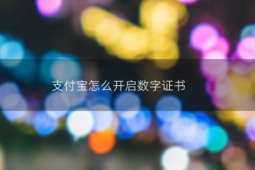 支付宝怎么开启数字证书