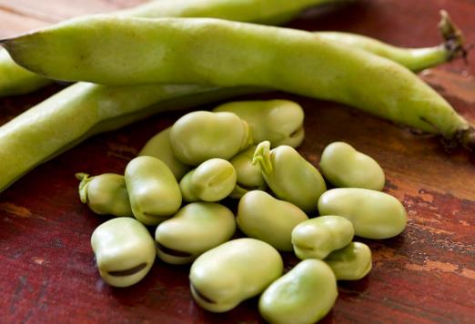 正确使用公厕坐便器 隔绝细菌保证卫生的妙招