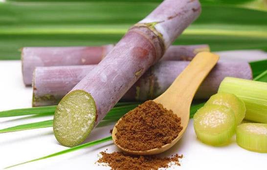 让老人吃肉更健康的方式 炖肉鲜嫩柔软较适宜