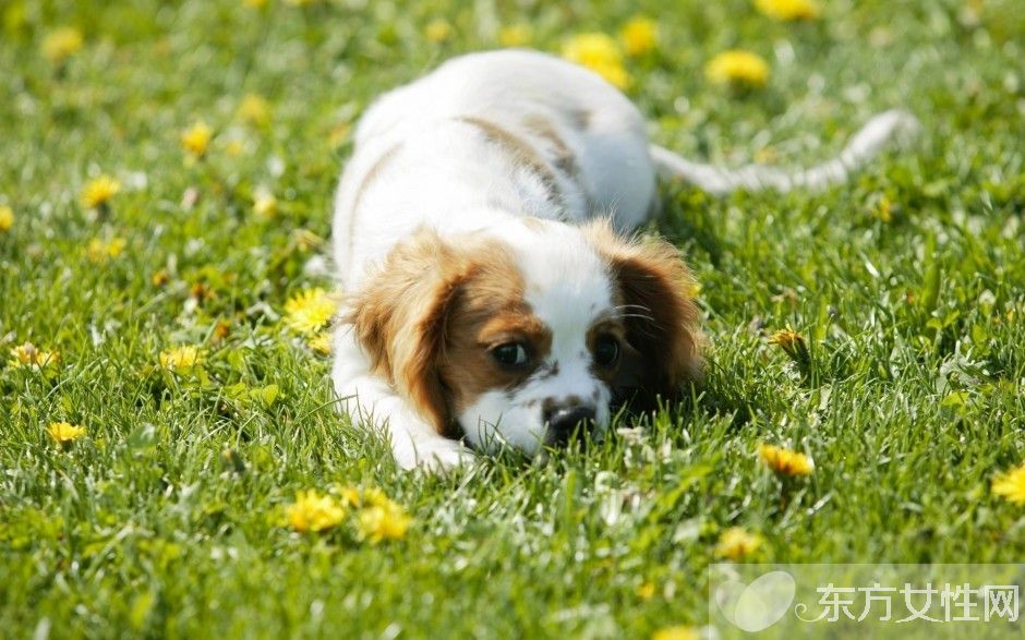 生气的危害有哪些 女人七个时期生气最要命