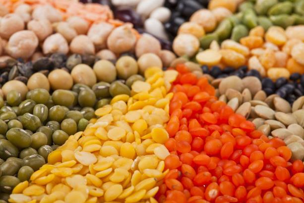 改善脱发是场持久战 解决长期脱发问题有妙招