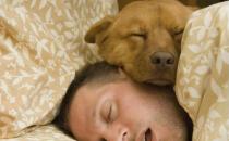 会暴露缺点的心理才健康