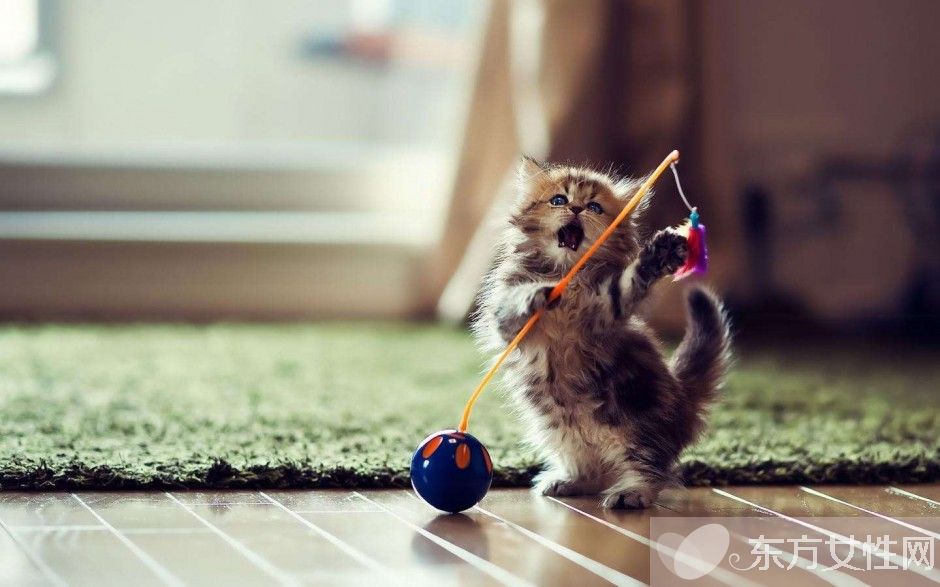 生气的危害有哪些 女人七个时期生气最要命