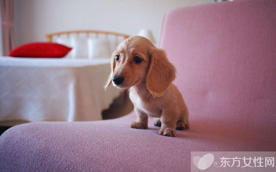 生气的危害有哪些 女人七个时期生气最要命