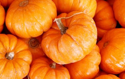 通过饮食改善气血不足 十大补血补气的食物