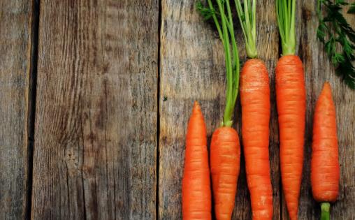 通过饮食改善气血不足 十大补血补气的食物